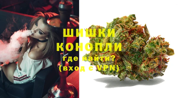 дживик Алексин