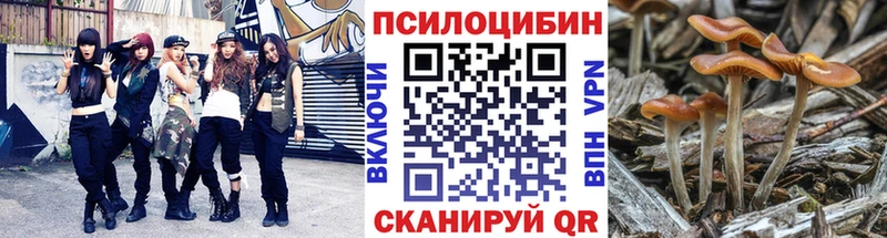 Галлюциногенные грибы мицелий  блэк спрут как зайти  Рыбное  сколько стоит 